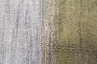 https://image-static-obj.rugsource.com/small/88606_3415155_3414895e.jpeg