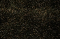 https://image-static-obj.rugsource.com/small/88988_3339191_dabd2689.jpeg
