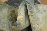 https://image-static-obj.rugsource.com/small/91410_3357671_ef987b4a.jpeg