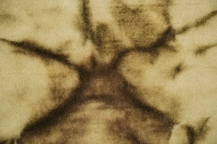https://image-static-obj.rugsource.com/small/95371_3312894_7638915f.jpeg