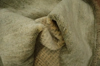 https://image-static-obj.rugsource.com/small/97491_3288915_a5285b58.jpeg