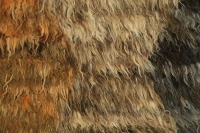 https://image-static-obj.rugsource.com/small/97942_3298861_cd5d2572.jpeg