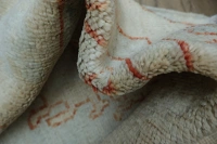 https://image-static-obj.rugsource.com/small/99311_3279717_e3da536f.jpeg