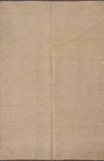 Contemporary Kilim Oriental Area Rug 4x6