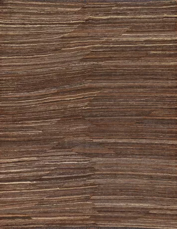 Earth Tone Kilim Oriental Area Rug 5x6
