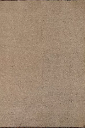 Solid Earth Tone Kilim Oriental Area Rug 4x6