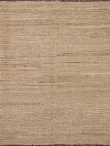 Earth Tone Kilim Oriental Area Rug 5x6