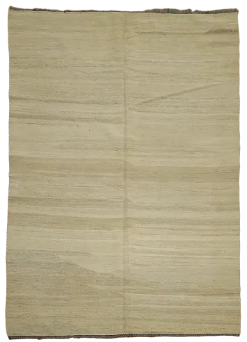 Contemporary Kilim Oriental Area Rug 5x7