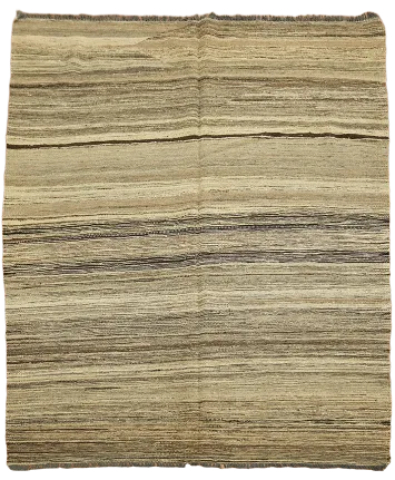 Earth Tone Kilim Oriental Area Rug 5x7