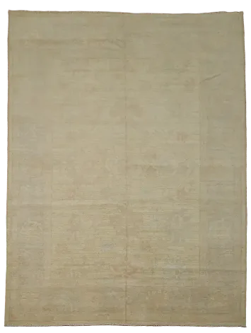 Neutral Beige Area Rug - Subtle Elegance for Any Room 9x12