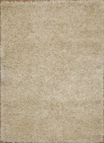 Plush Shaggy Oriental Area Rug 4x6