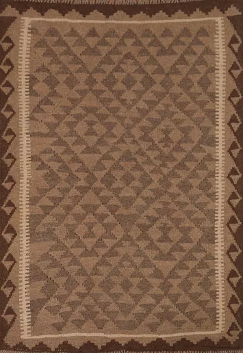 Reversible Wool Kilim Oriental Area Rug 4x5
