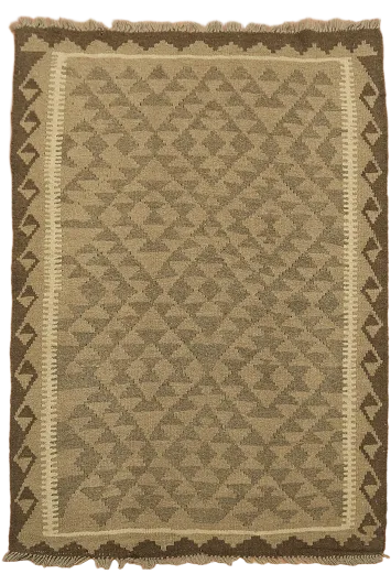 Reversible Wool Kilim Oriental Area Rug 4x5
