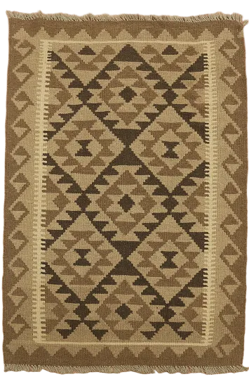 Reversible Wool Kilim Oriental Area Rug 3x5