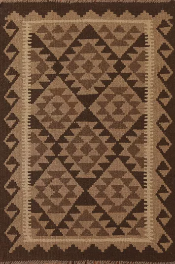 Reversible Wool Kilim Oriental Area Rug 3x5