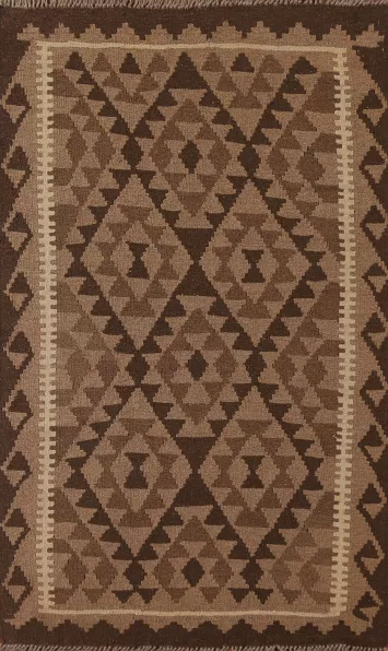 Reversible Wool Kilim Oriental Area Rug 3x5