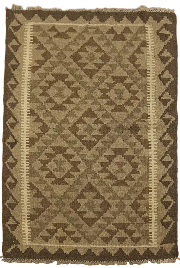 Reversible Kilim Oriental Area Rug 3x5
