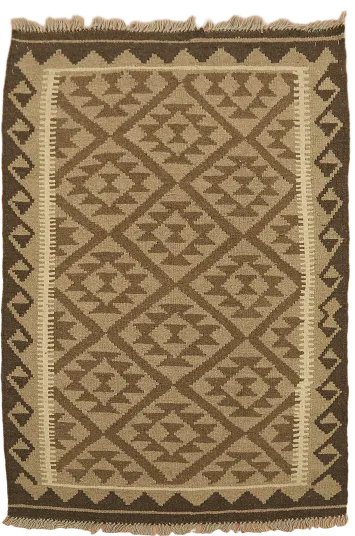 Reversible Wool Kilim Oriental Area Rug 3x5