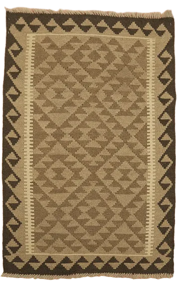 Reversible Wool Kilim Oriental Area Rug 3x5