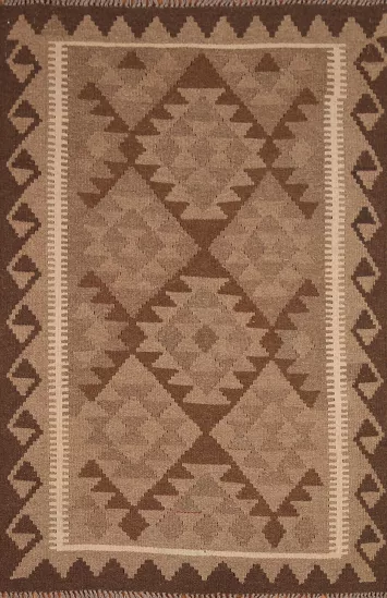 Reversible Kilim Oriental Area Rug 3x5