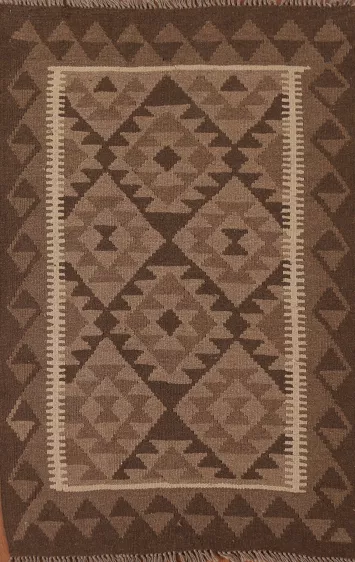 Reversible Wool Kilim Oriental Area Rug 3x5