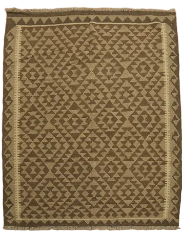 Reversible Kilim Oriental Area Rug 5x7