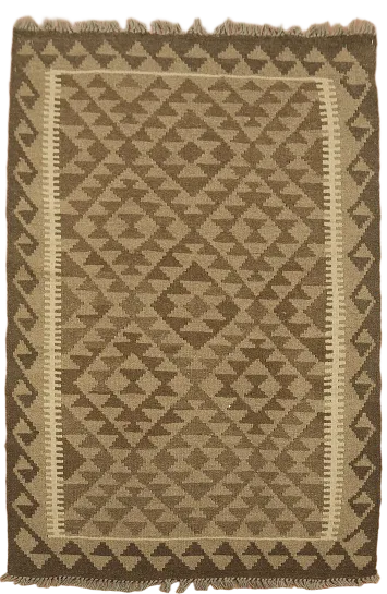 Reversible Wool Kilim Oriental Area Rug 3x5