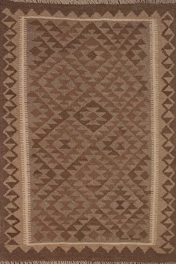 Reversible Wool Kilim Oriental Area Rug 3x5