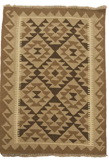 Reversible Wool Kilim Oriental Area Rug 3x5