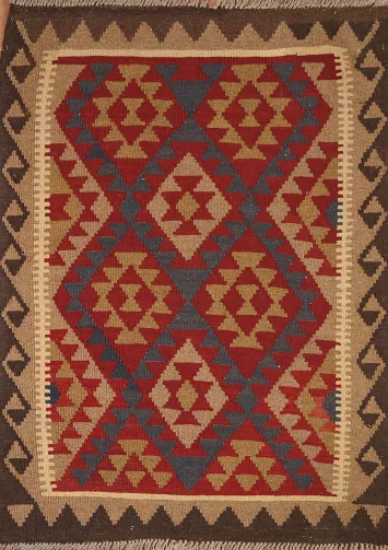 Reversible Wool Kilim Oriental Area Rug 3x5