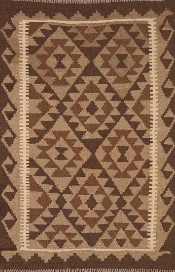 Reversible Wool Kilim Oriental Area Rug 3x5