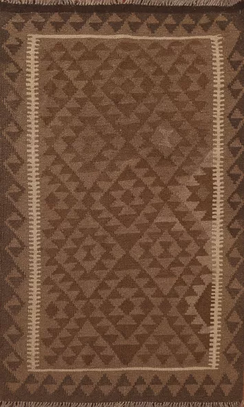 Reversible Wool Kilim Oriental Area Rug 3x5