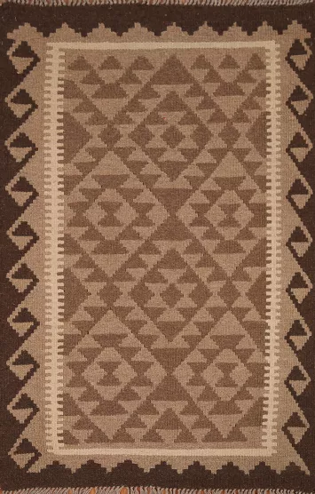 Reversible Kilim Oriental Area Rug 3x5