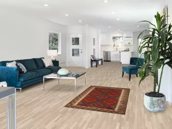 Reversible Kilim Oriental Area Rug 3x5