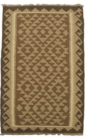 Reversible Kilim Oriental Area Rug 3x5