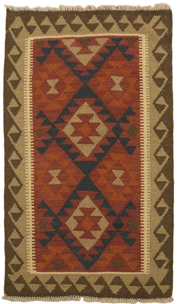 Reversible Kilim Oriental Area Rug 3x5