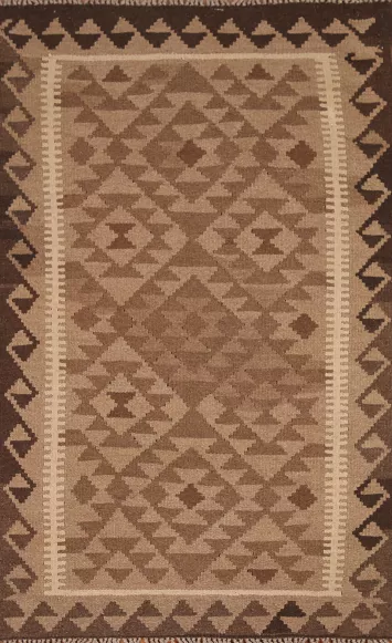 Geometric Kilim Oriental Area Rug 3x5