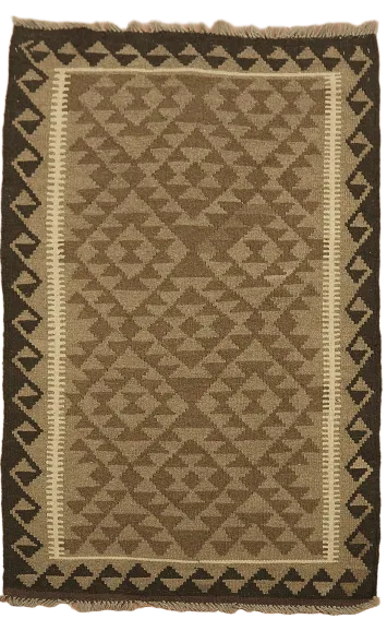 Geometric Kilim Oriental Area Rug 3x5