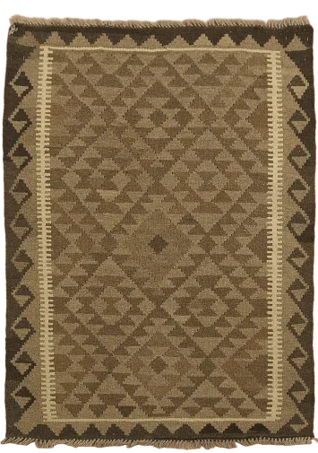 Reversible Kilim Oriental Area Rug 3x5