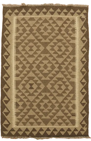 Hand-Woven Kilim Oriental Area Rug 3x5