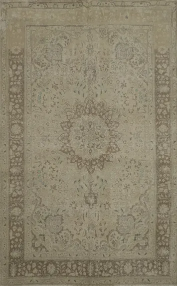 Distressed Tabriz Beige Persian Area Rug 6x9