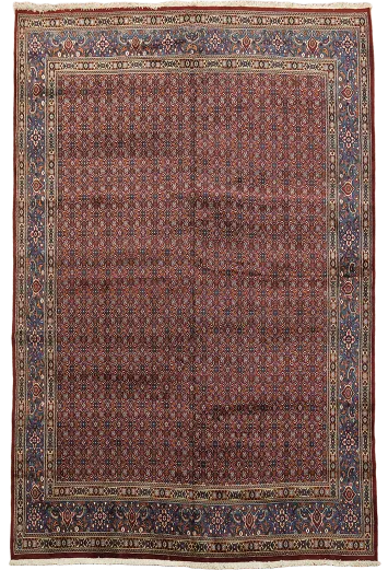 All-Over Red Mashad Persian Area Rug 10x13