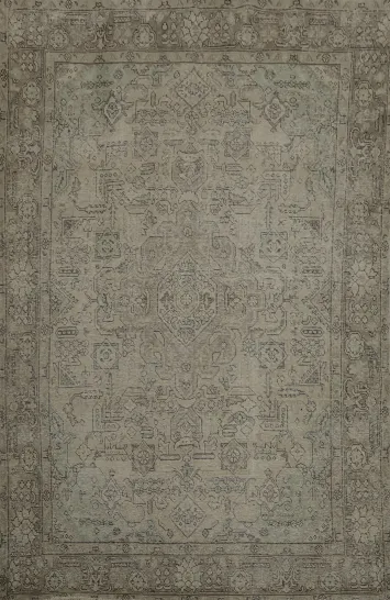 Antique Appeal: Persian Rug with Subtle Distressed Finish 6x9