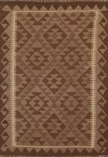 Reversible Kilim Oriental Area Rug 3x5