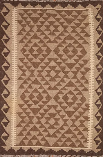 Reversible Kilim Oriental Area Rug 3x5
