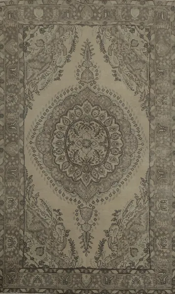 Classic Beige and Brown Rug with Traditional Eastern Design 6x10