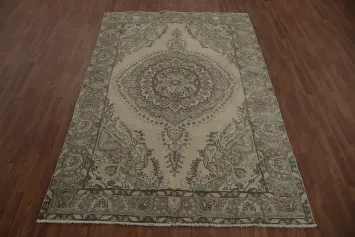 Classic Beige and Brown Rug with Traditional Eastern Design 6x10