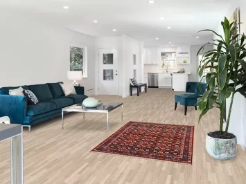 Vegetable Dye Varamin Persian Area Rug 4x5