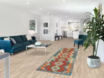 Reversible Flat-weave Kilim Runner Rug 3x10