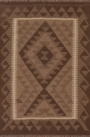 Reversible Wool Kilim Oriental Area Rug 3x4